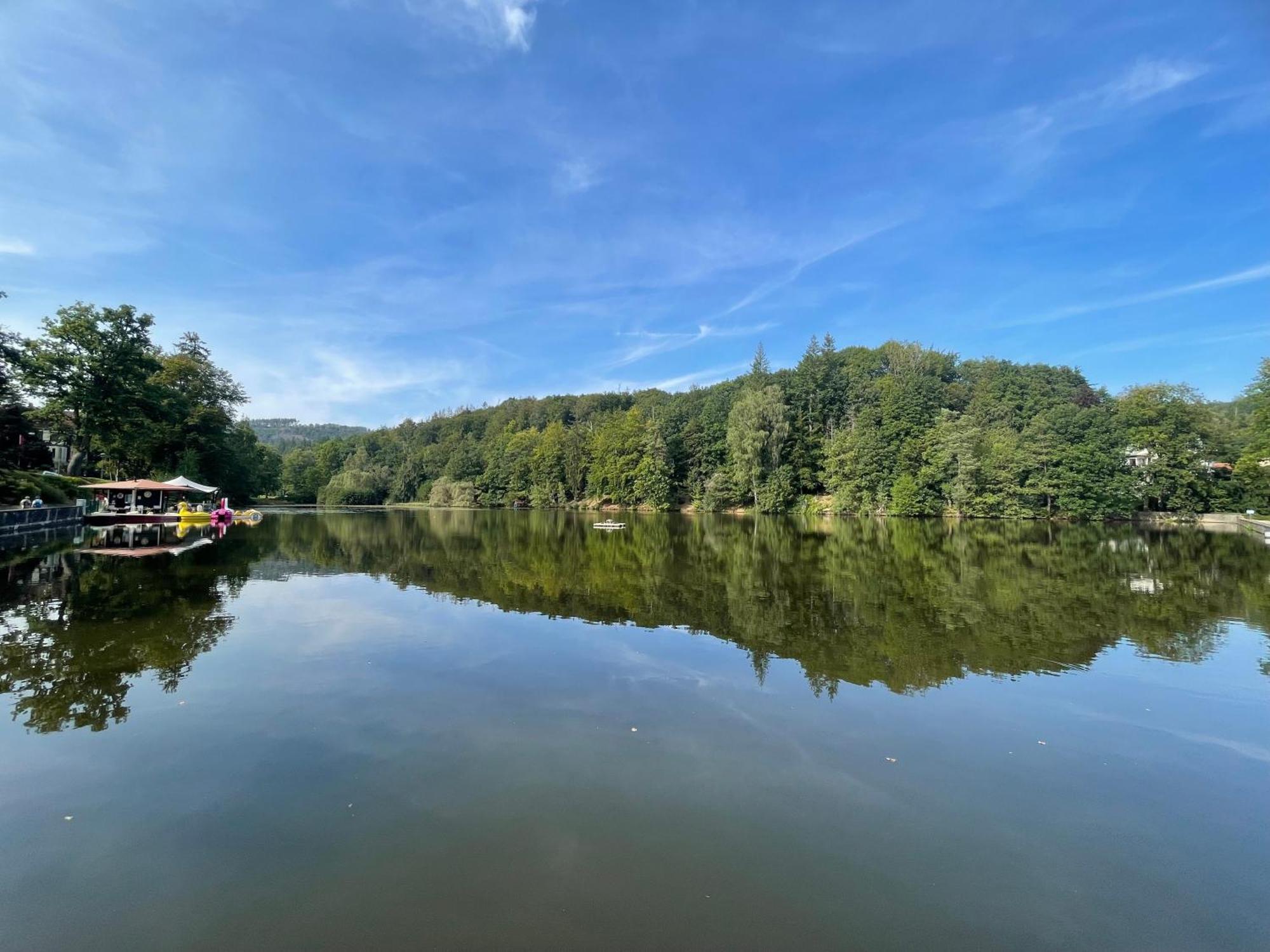 Ferienappartment "Kleine Waldpause" - Optional Mit Saunanutzung Bad Sachsa Dış mekan fotoğraf